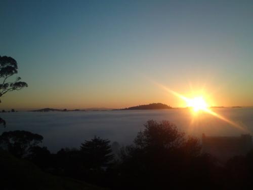 From Mt Albert
